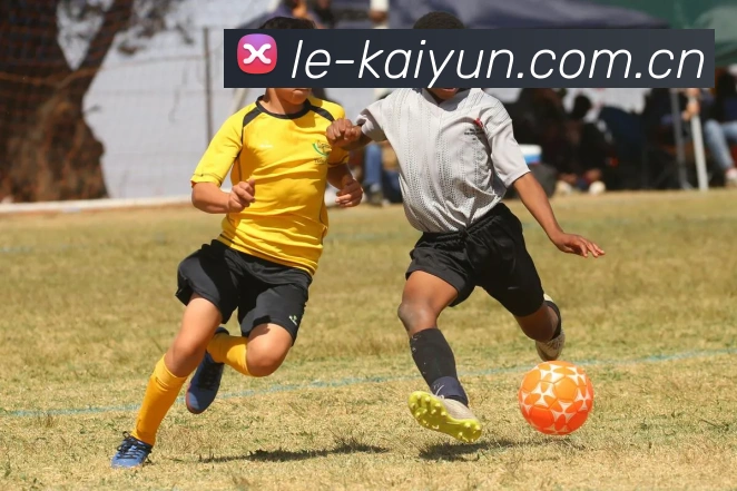 联合创始人